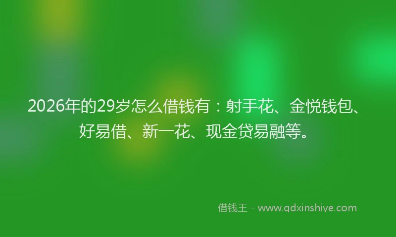 2026年的29岁怎么借钱有:射手花、金悦钱包、好易借、新一花、现金贷易融等。