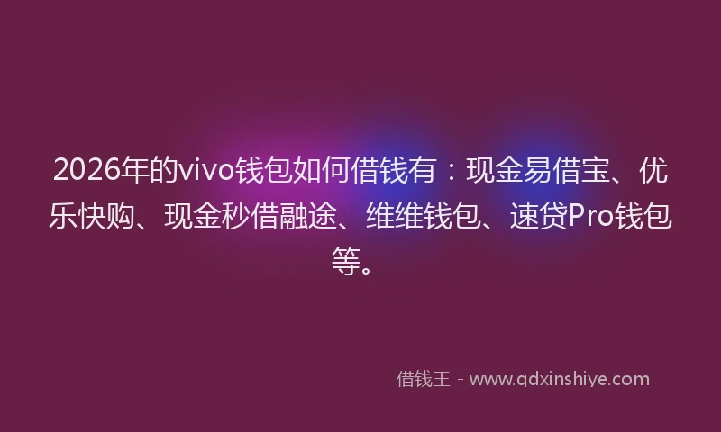 2026年的vivo钱包如何借钱有：现金易借宝、优乐快购、现金秒借融途、维维钱包、速贷Pro钱包等。