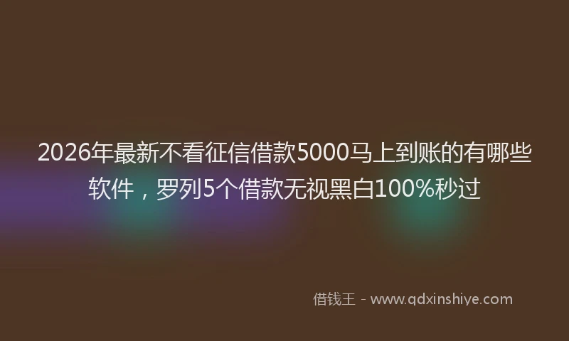 2026年最新不看征信借款5000马上到账的有哪些软件,罗列5个借款无视黑白100%秒过