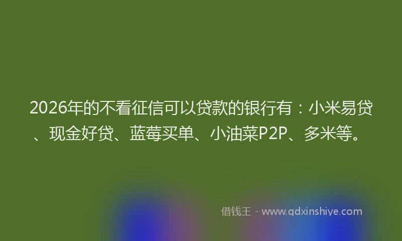 2026年的不看征信可以贷款的银行有：小米易贷、现金好贷、蓝莓买单、小油菜P2P、多米等。