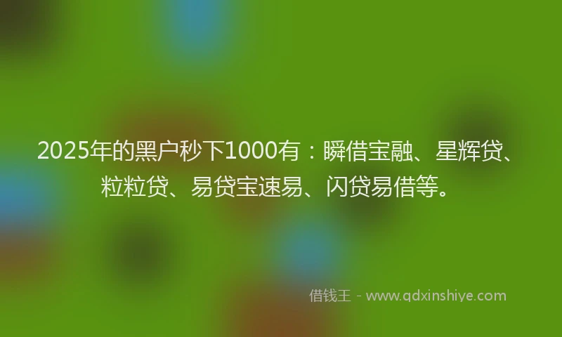 2025年的黑户秒下1000有：瞬借宝融、星辉贷、粒粒贷、易贷宝速易、闪贷易借等。