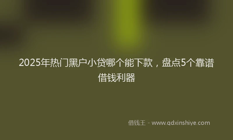 2025年热门黑户小贷哪个能下款，盘点5个靠谱借钱利器