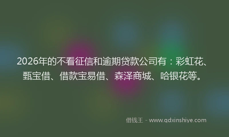 2026年的不看征信和逾期贷款公司有：彩虹花、甄宝借、借款宝易借、森泽商城、哈银花等。