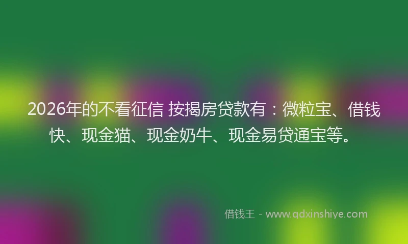 2026年的不看征信 按揭房贷款有:微粒宝、借钱快、现金猫、现金奶牛、现金易贷通宝等。