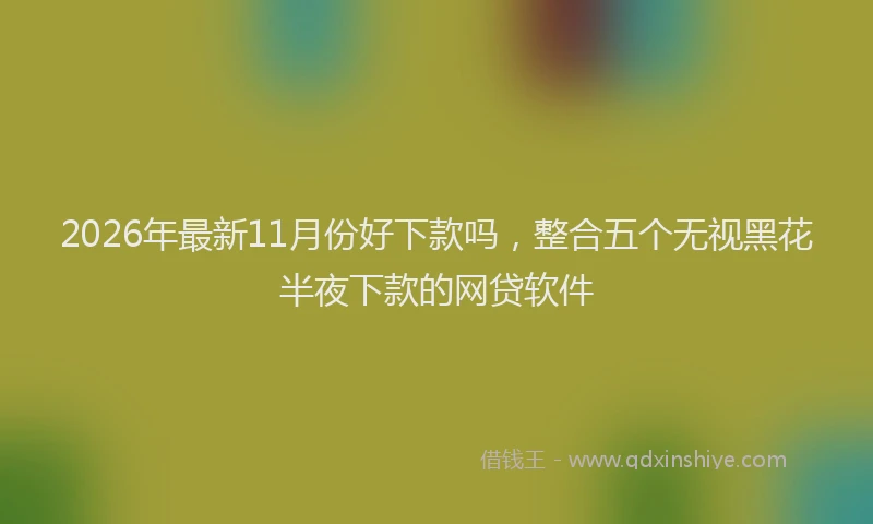 2026年最新11月份好下款吗，整合五个无视黑花半夜下款的网贷软件