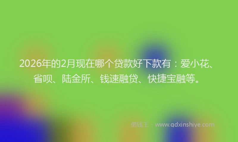 2026年的2月现在哪个贷款好下款有：爱小花、省呗、陆金所、钱速融贷、快捷宝融等。