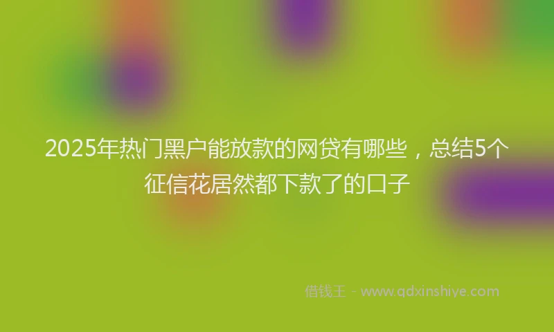 2025年热门黑户能放款的网贷有哪些，总结5个征信花居然都下款了的口子