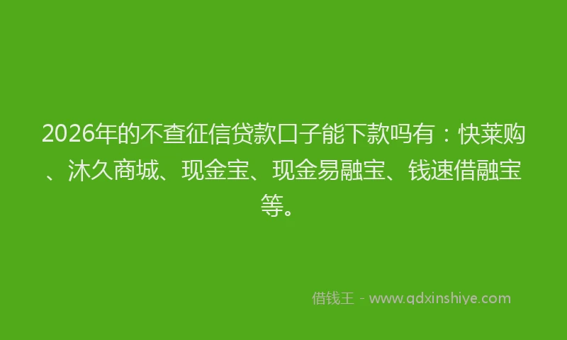 2026年的不查征信贷款口子能下款吗有:快莱购、沐久商城、现金宝、现金易融宝、钱速借融宝等。