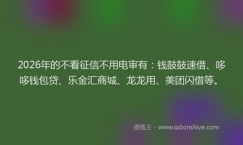 2026年的不看征信不用电审有:钱鼓鼓速借、哆哆钱包贷、乐金汇商城、龙龙用、美团闪借等。