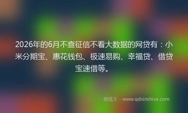 2026年的6月不查征信不看大数据的网贷有：小米分期宝、惠花钱包、极速易购、幸福贷、借贷宝速借等。