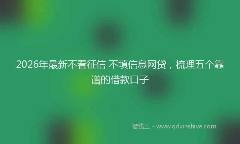 2026年最新不看征信 不填信息网贷,梳理五个靠谱的借款口子