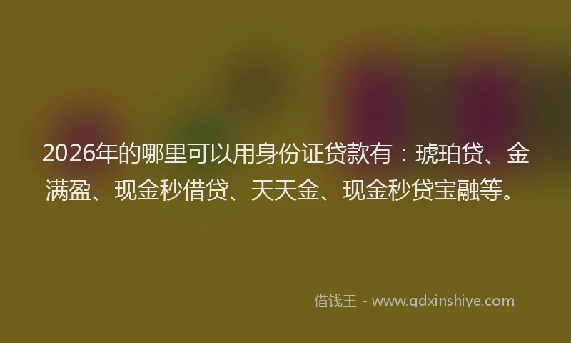 2026年的哪里可以用身份证贷款有：琥珀贷、金满盈、现金秒借贷、天天金、现金秒贷宝融等。