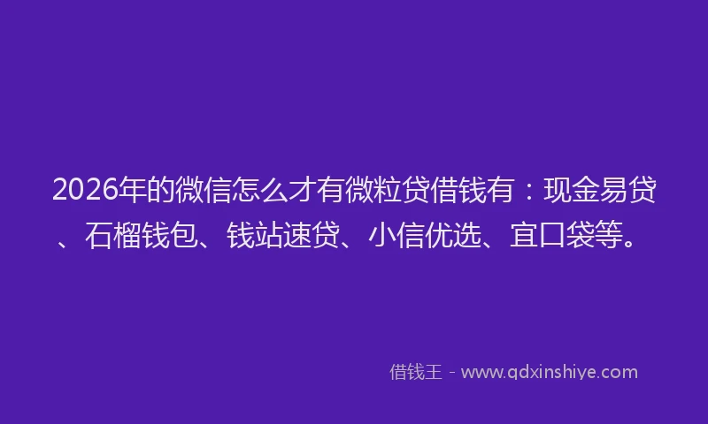 2026年的微信怎么才有微粒贷借钱有：现金易贷、石榴钱包、钱站速贷、小信优选、宜口袋等。