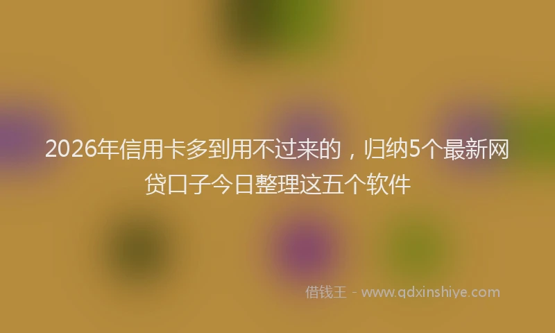 2026年信用卡多到用不过来的，归纳5个最新网贷口子今日整理这五个软件