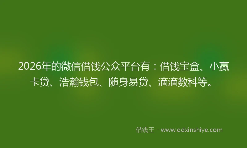 2026年的微信借钱公众平台有:借钱宝盒、小赢卡贷、浩瀚钱包、随身易贷、滴滴数科等。