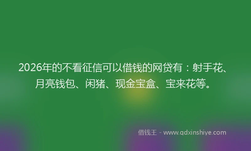 2026年的不看征信可以借钱的网贷有：射手花、月亮钱包、闲猪、现金宝盒、宝来花等。