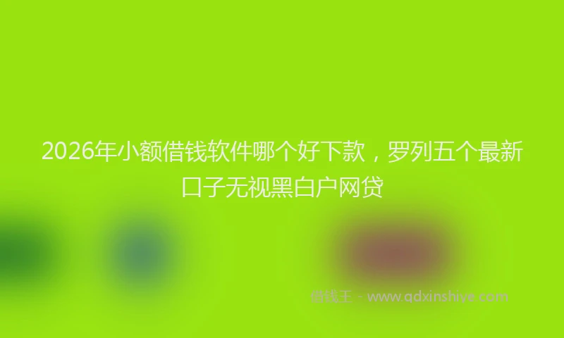 2026年小额借钱软件哪个好下款,罗列五个最新口子无视黑白户网贷