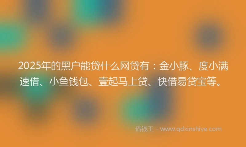2025年的黑户能贷什么网贷有：金小豚、度小满速借、小鱼钱包、壹起马上贷、快借易贷宝等。