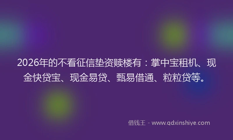 2026年的不看征信垫资赎楼有：掌中宝租机、现金快贷宝、现金易贷、甄易借通、粒粒贷等。