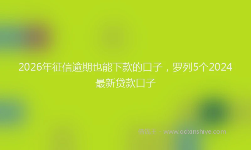 2026年征信逾期也能下款的口子,罗列5个2024最新贷款口子