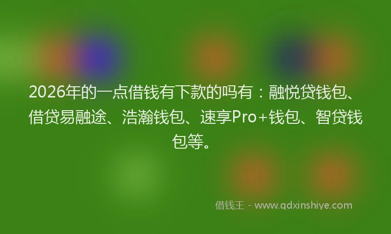 2026年的一点借钱有下款的吗有：融悦贷钱包、借贷易融途、浩瀚钱包、速享Pro+钱包、智贷钱包等。