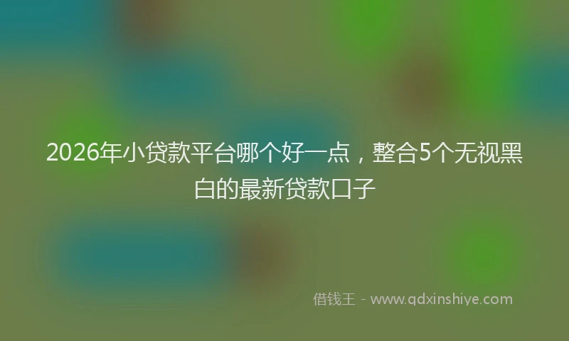 2026年小贷款平台哪个好一点，整合5个无视黑白的最新贷款口子