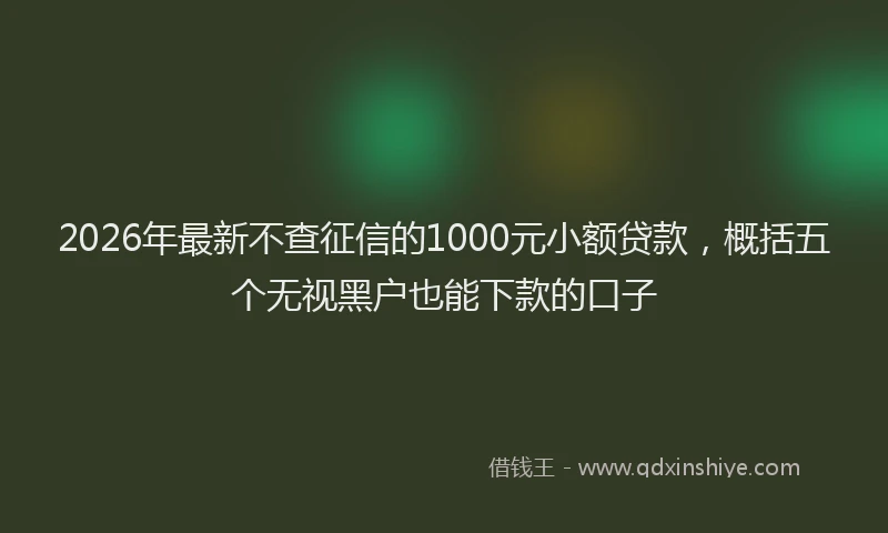 2026年最新不查征信的1000元小额贷款，概括五个无视黑户也能下款的口子
