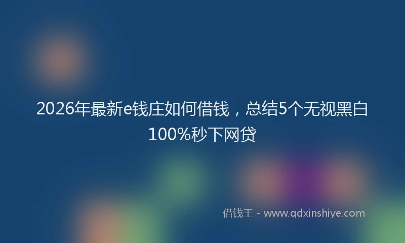 2026年最新e钱庄如何借钱,总结5个无视黑白100%秒下网贷