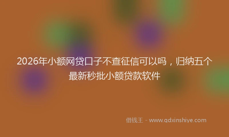 2026年小额网贷口子不查征信可以吗，归纳五个最新秒批小额贷款软件