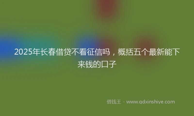 2025年长春借贷不看征信吗，概括五个最新能下来钱的口子