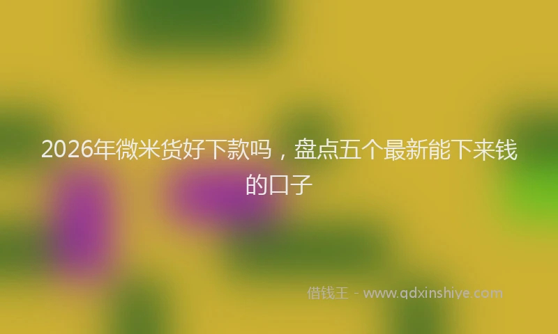 2026年微米货好下款吗，盘点五个最新能下来钱的口子