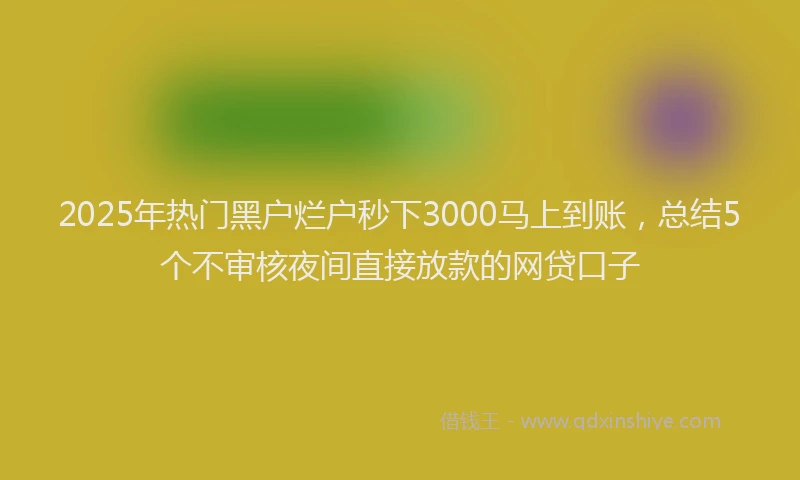 2025年热门黑户烂户秒下3000马上到账,总结5个不审核夜间直接放款的网贷口子
