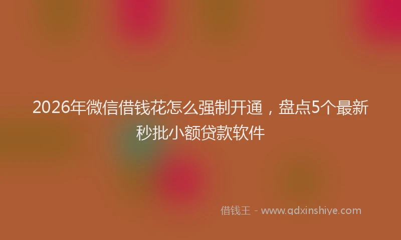 2026年微信借钱花怎么强制开通,盘点5个最新秒批小额贷款软件