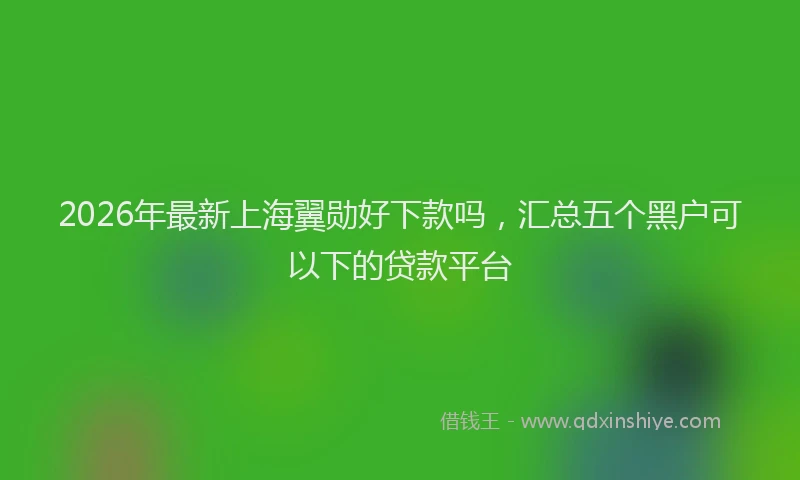 2026年最新上海翼勋好下款吗，汇总五个黑户可以下的贷款平台