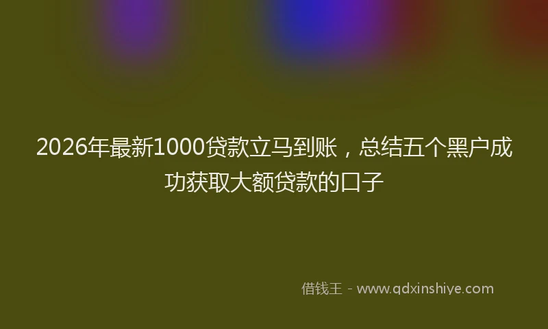 2026年最新1000贷款立马到账，总结五个黑户成功获取大额贷款的口子