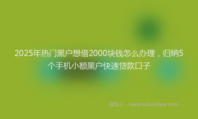 2025年热门黑户想借2000块钱怎么办理,归纳5个手机小额黑户快速贷款口子