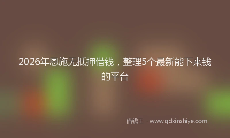 2026年恩施无抵押借钱，整理5个最新能下来钱的平台