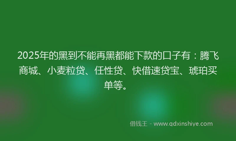 2025年的黑到不能再黑都能下款的口子有：腾飞商城、小麦粒贷、任性贷、快借速贷宝、琥珀买单等。