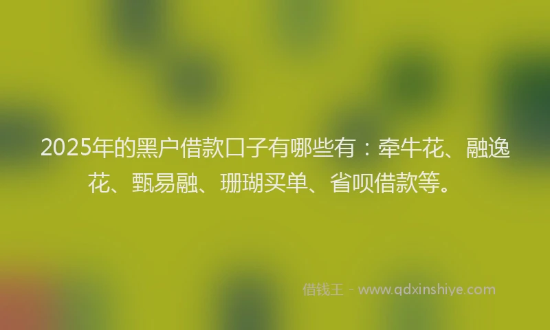 2025年的黑户借款口子有哪些有：牵牛花、融逸花、甄易融、珊瑚买单、省呗借款等。