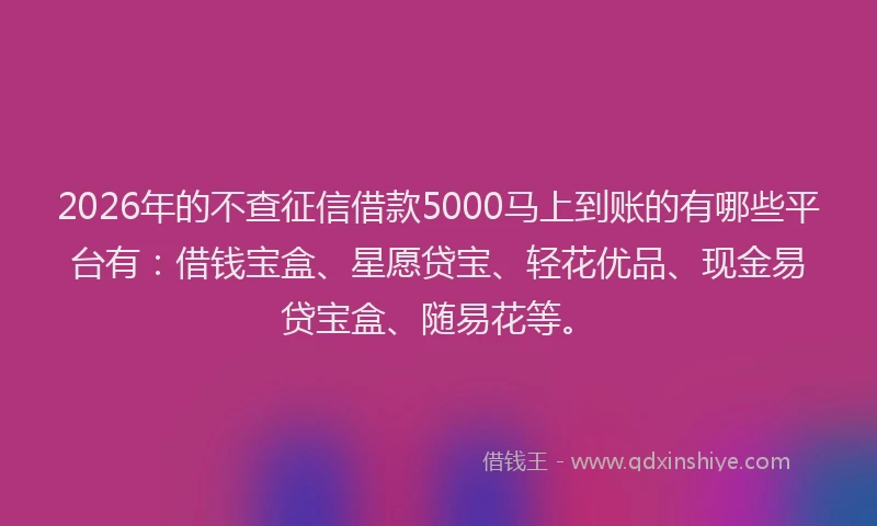 2026年的不查征信借款5000马上到账的有哪些平台有:借钱宝盒、星愿贷宝、轻花优品、现金易贷宝盒、随易花等。