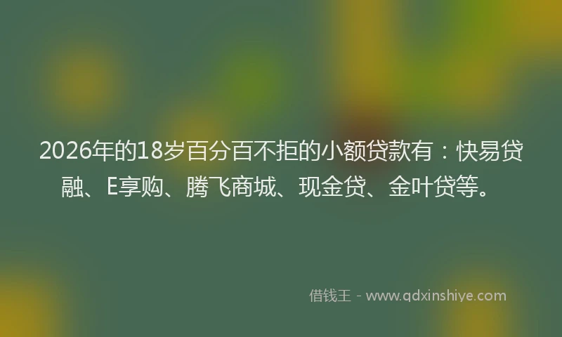2026年的18岁百分百不拒的小额贷款有：快易贷融、E享购、腾飞商城、现金贷、金叶贷等。