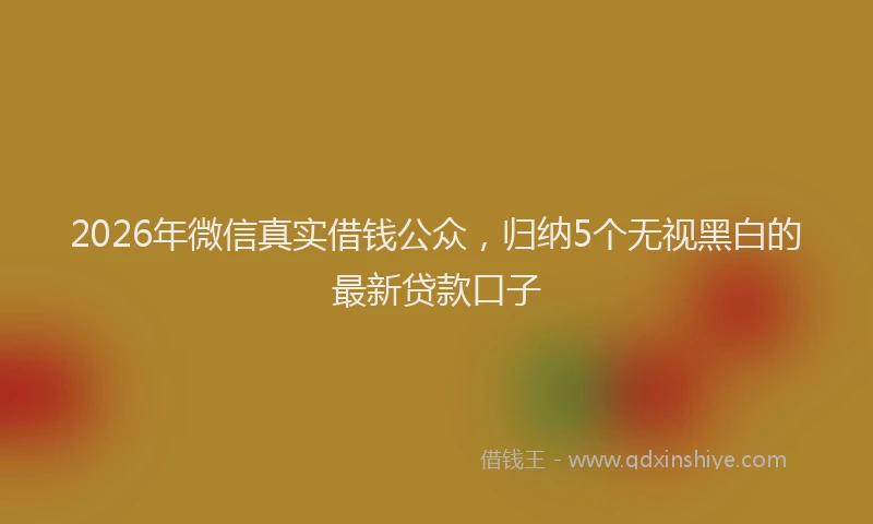 2026年微信真实借钱公众，归纳5个无视黑白的最新贷款口子
