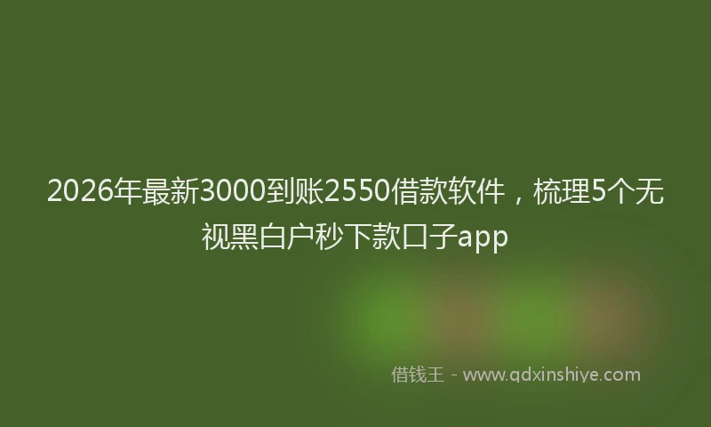 2026年最新3000到账2550借款软件，梳理5个无视黑白户秒下款口子app