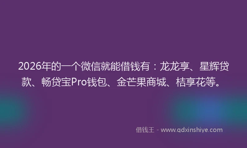 2026年的一个微信就能借钱有：龙龙享、星辉贷款、畅贷宝Pro钱包、金芒果商城、桔享花等。