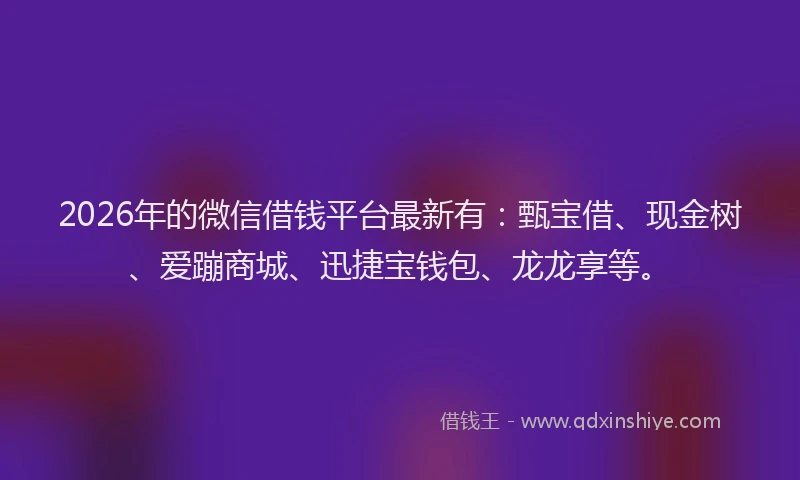 2026年的微信借钱平台最新有:甄宝借、现金树、爱蹦商城、迅捷宝钱包、龙龙享等。