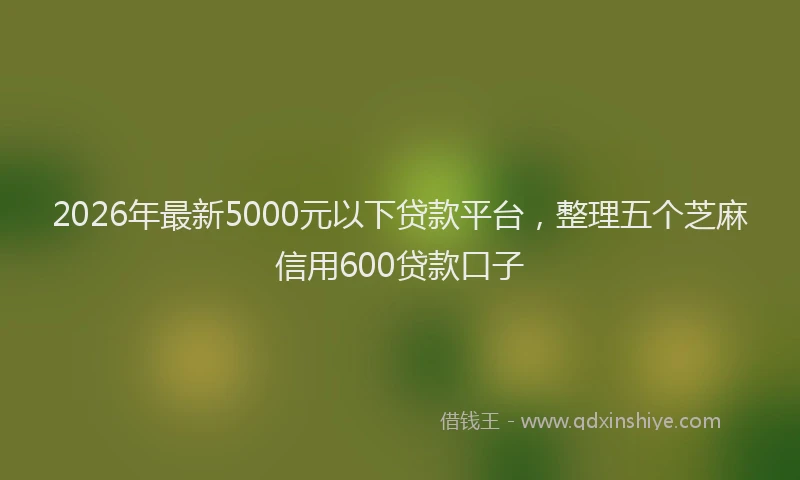 2026年最新5000元以下贷款平台，整理五个芝麻信用600贷款口子