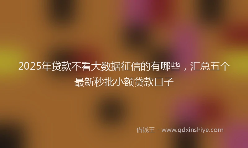 2025年贷款不看大数据征信的有哪些，汇总五个最新秒批小额贷款口子