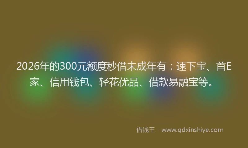 2026年的300元额度秒借未成年有：速下宝、首E家、信用钱包、轻花优品、借款易融宝等。
