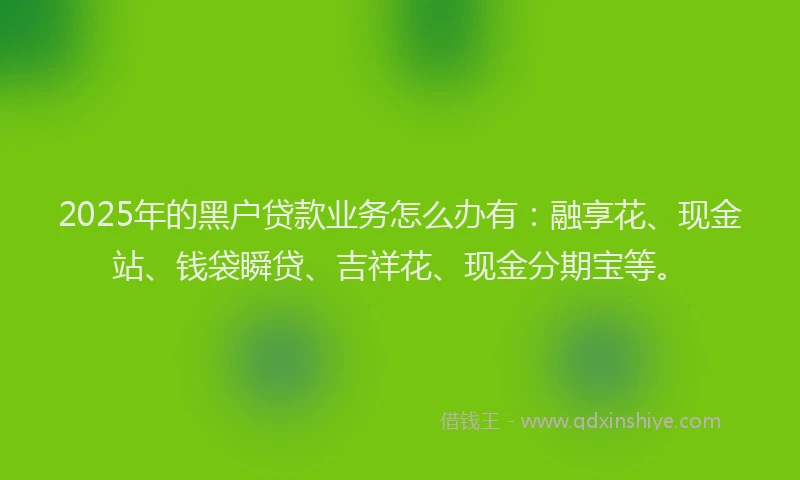 2025年的黑户贷款业务怎么办有：融享花、现金站、钱袋瞬贷、吉祥花、现金分期宝等。