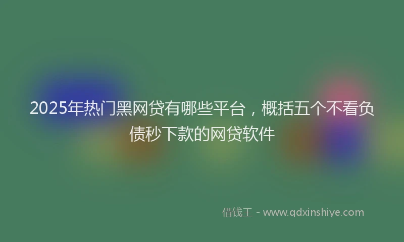 2025年热门黑网贷有哪些平台，概括五个不看负债秒下款的网贷软件
